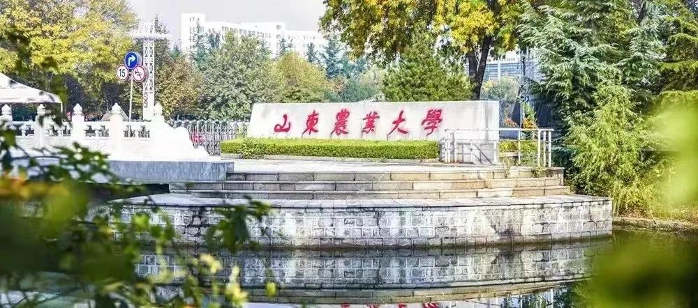 海报观察丨青年“入田”，一所农业大学与“齐鲁粮仓”的双向奔赴