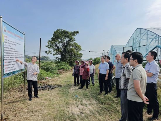 江西省夏大豆主要病虫草害绿色防控技术示范观摩会举行